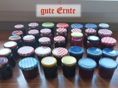 Weinlese_04