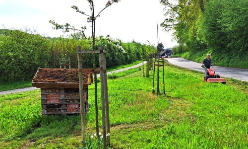 Frühjahrsputz mit schwerem Gerät